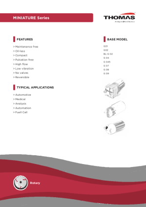 2023-10_Thomas_DS_Miniature Series.pdf